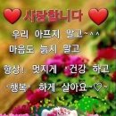 심심산골 이미지