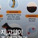에스메디컬 이미지