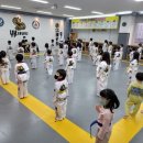 YK태권도장 이미지