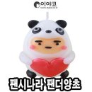 팬시나라 이미지