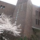 영락고등학교 이미지