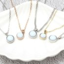 펫힐링센터 이미지