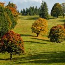 2025년 9월(셋째주) 특별반(256기) 훈련[종료] 이미지