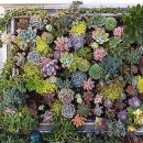 정원이 아름다운 집 이미지