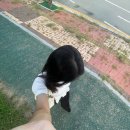 프로미스애드 | 블챌을 빌려 근황 공유하기 / 애드포스트 등록완료❤️