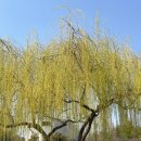 충혼탑 주차장 주변 이미지