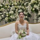 박은영