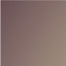 네플란트치과의원 이미지