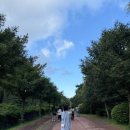 비자림스테이104