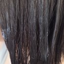 포스 | 노워시트리트먼트 추천, 극손상 모발 살린 헤어포스 후기