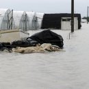 서수면 주민센터 이미지