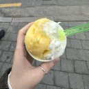 [내맘대로 움냠냠] 솔리드웍스 아이스크림 후기 / 쌀 젤라또 아이스크림 / 안암 솔리드웍스 아이스크림
