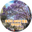 사랑의 하트 💖 부탁드려요 ~~세계일주 오세아니아 (오스트레일리아 뉴질랜드) 이미지