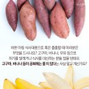 님아, 빈속에 바나나·고구마 먹지 마오 이미지