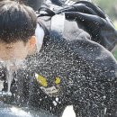 윤정수농장 이미지