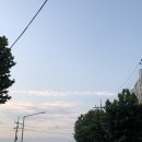 망원로 14 네이버블로그