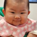 로드 207 이미지