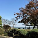 태진한우 | [삽교맛집] 제철 해산물이 가득한 삽교호 맛집 / 겨울제철 대방어 후기 ”태진수산“🐟