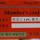 맘모스충전소