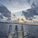 돌고래헬스클럽 이미지