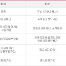 ELS (Equity Linked Securities)란 무엇인가? 이미지