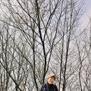 대청호반 이미지