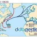 민물장어낚시 이미지