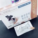 우리정다운약국 이미지