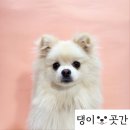 댕이곳간 이미지