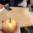 (주)마인소프트 | [뉘른베르크] 뉘른베르크 근교여행/프랑켄 지방 와인투어/ 악마의 다리/ 할아버지의 와인 명언