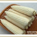 대관령농산물판매