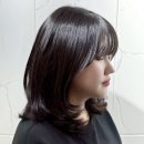 센스헤어펌