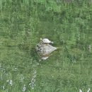 천아트생활공예 이미지