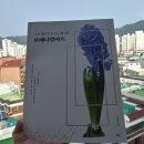 그림으로 만나는 힐링 보테니컬 아트 이미지