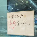 꿀먹은 돼지