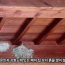 한국과 일본의 제비집; ツバメの巣; A swallow's nest 이미지