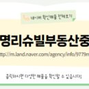 대명부동산중개 네이버블로그