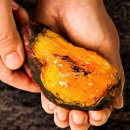 해남5일시장 | [25년 햇] 해남 꿀고구마 호풍미/베니하루카 후숙 꿀팁으로 당도 미쳤다