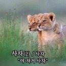 [헌터] 헌터 인/아웃 슬립온 블랙 패딩부츠