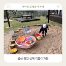 리틀티가든 | 아이랑 모래놀이 있는 카페 울산 언양 리틀티가든