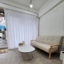 코냥코냥 이미지