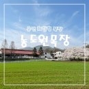 이정목장2농장 | 용인 농도원목장 벚꽃 아기랑 갈만한곳 체험하기 좋은 농장