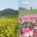 법수면사무소 이미지