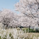 세븐일레븐 영천천문로점 이미지