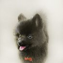 색연필화A 이미지