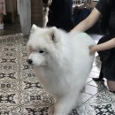 겨울이머무는집 이미지