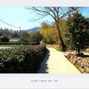 꽃뜰에풍경 이미지