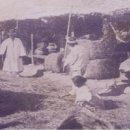 고향풍년 이미지