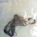 우리동물병원 이미지