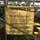 유동농장 이미지